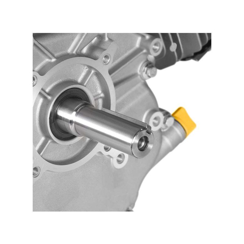 Motor FORTE GM460FD, gasolina