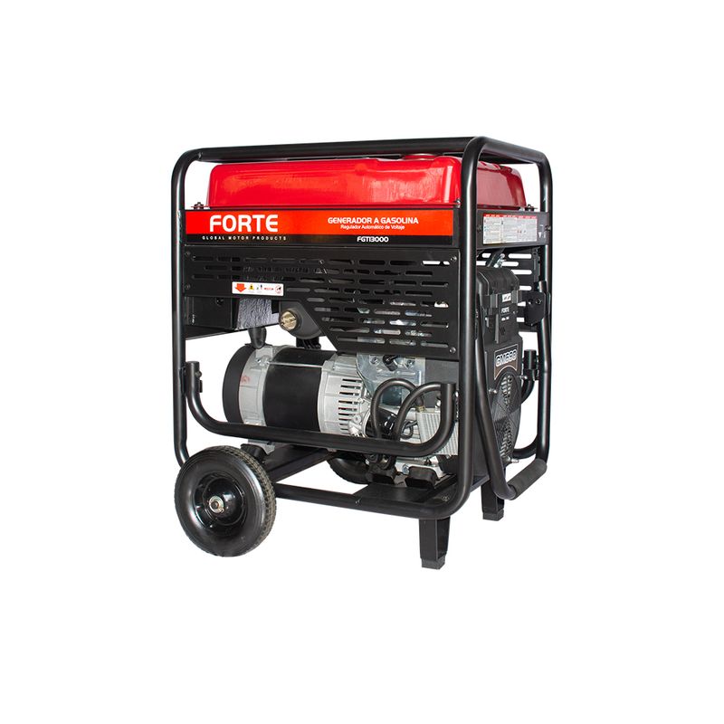 FG13000-1