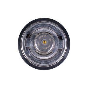Termostato Motor Td226B-3D/4D / Wp4B / Wp6B