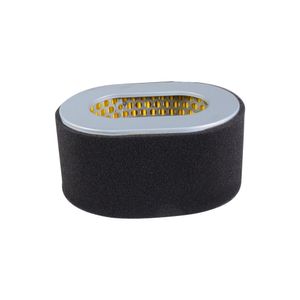 Elemento Filtro De Aire Motorf400/F440 / Fdg8000