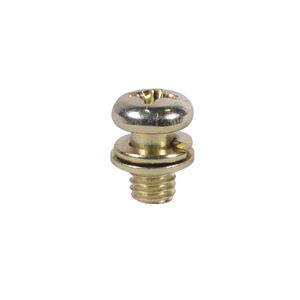Tornillo C/Boton 6Mm X 1 X 10Mm Pinador Carcasa Clutch Guadañadora Fm-43