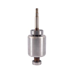 Rotor Rodamientos 6204 6202 Electrobomba Qdx15-10-0.75B