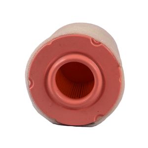 Elemento Filtro De Aire Tractor Cortacesped 13A877Kt309 / 13B8775S345